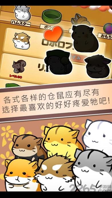 仓鼠养成无限金币破解版下载,仓鼠养成,养成游戏,宠物游戏,经营游戏